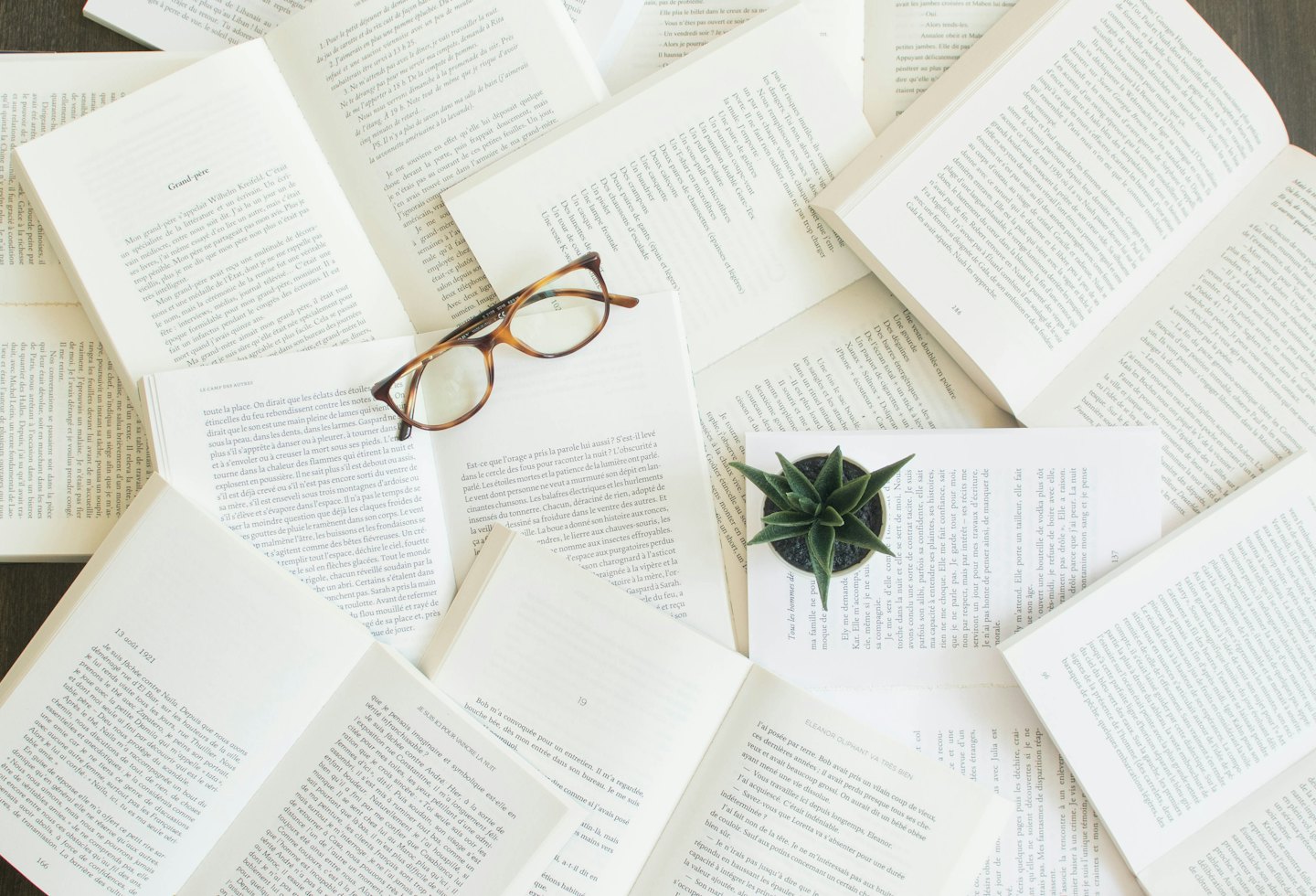 Open books and scattered pages with eyeglasses and a succulent.